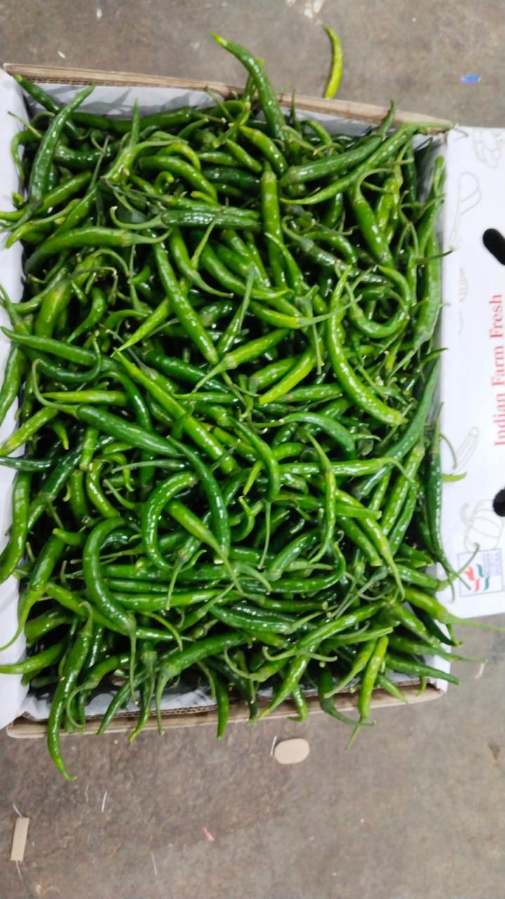 Green Chilly - Image 10