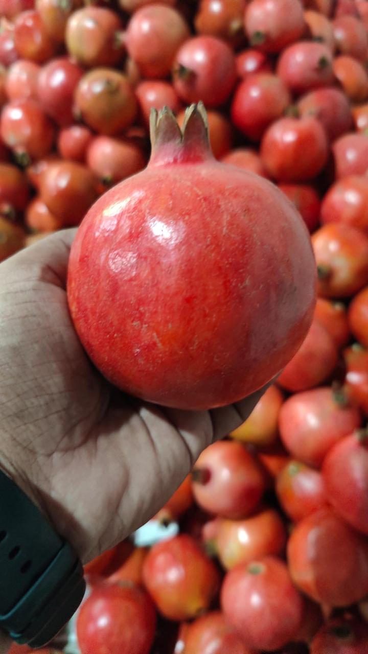Pomegranate - Image 3