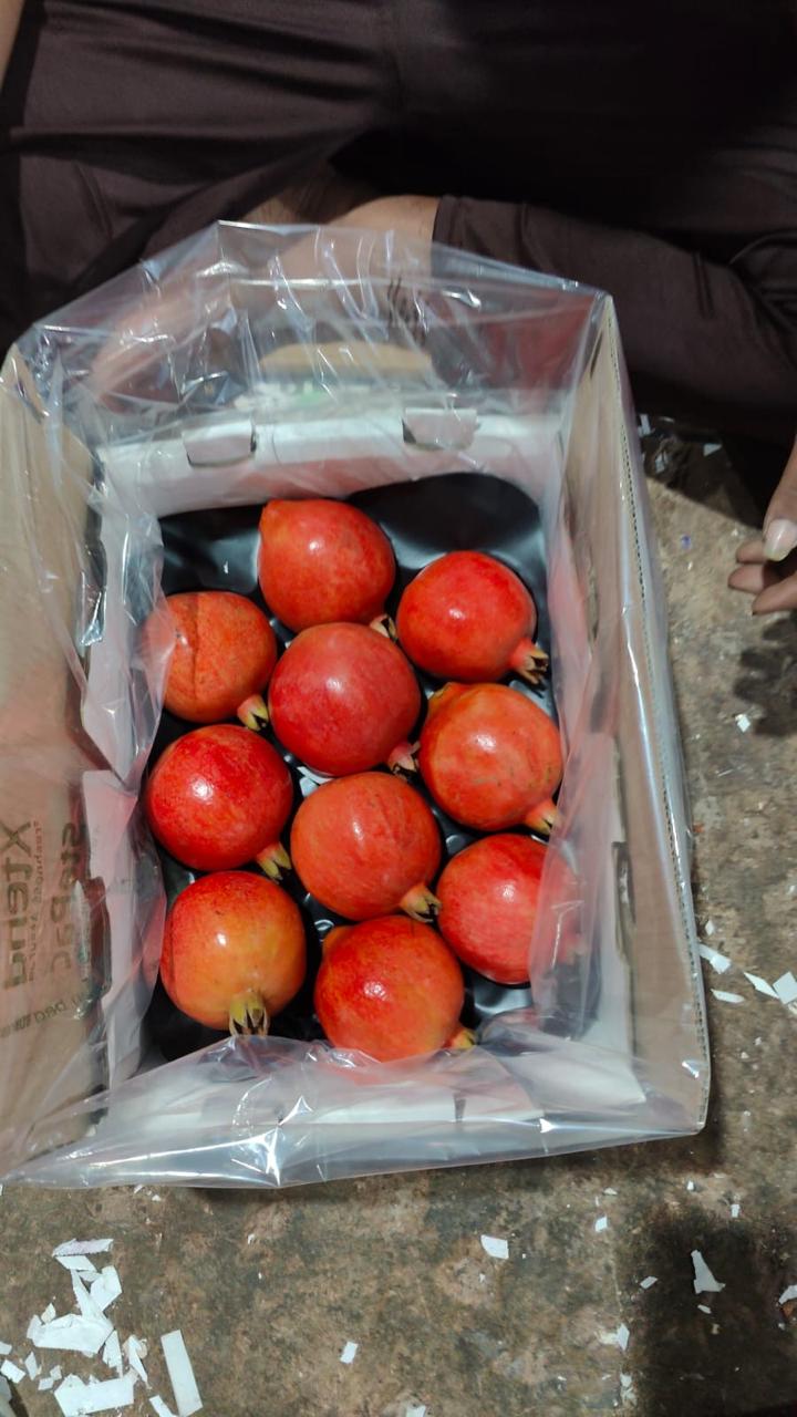 Pomegranate - Image 6