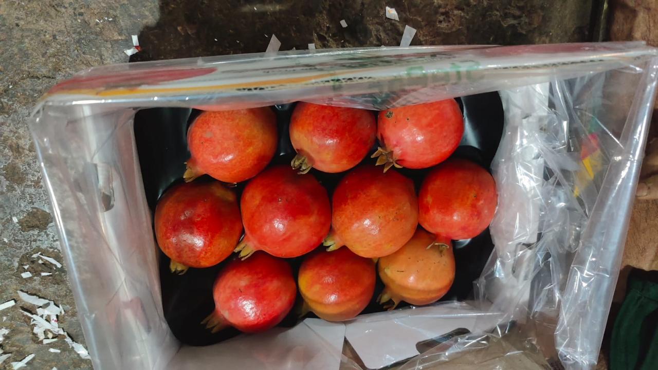 Pomegranate - Image 8