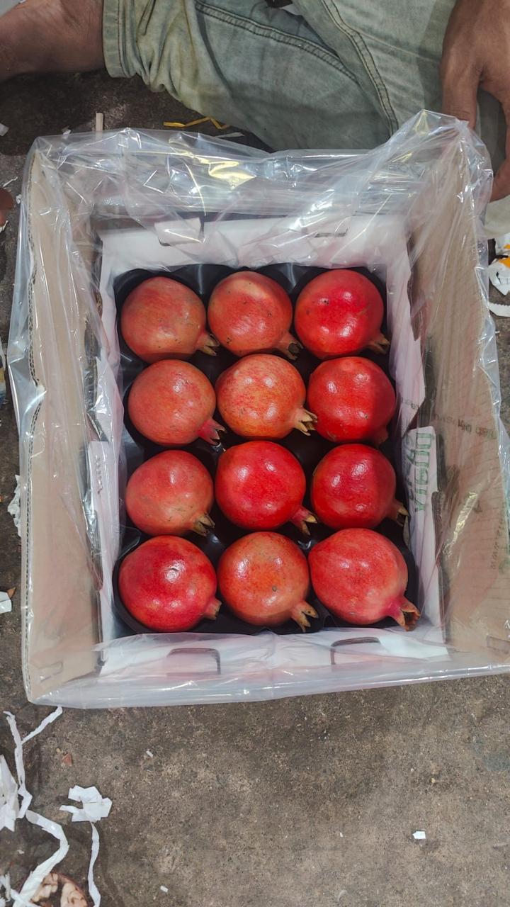 Pomegranate - Image 11