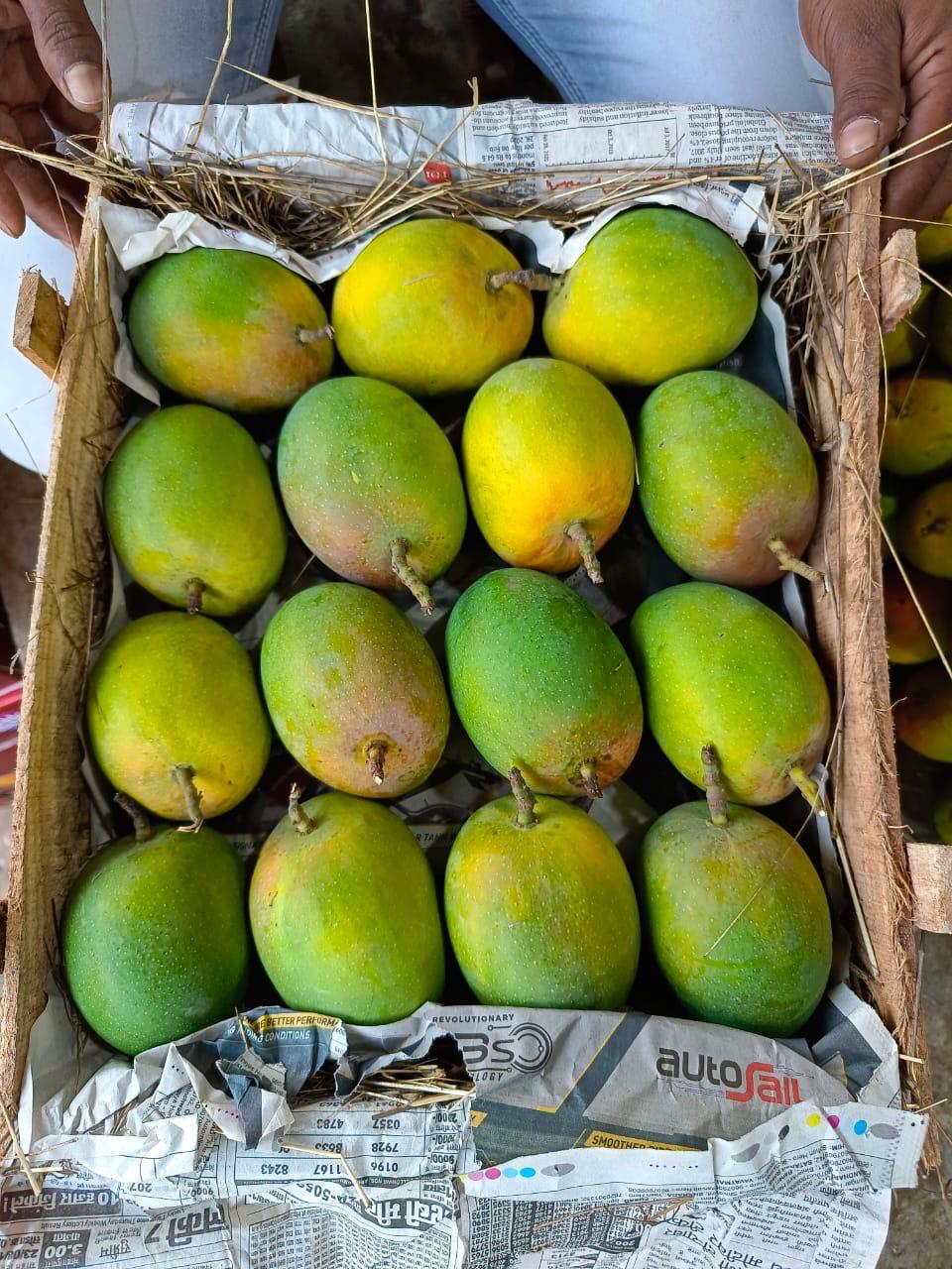 Mango - Image 9