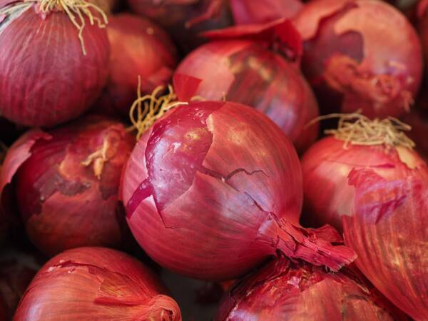 red vegetable onions, vegetable onion, onion, market, vegetables, food, red, violet, shell, onion, onion, onion, onion, onion
