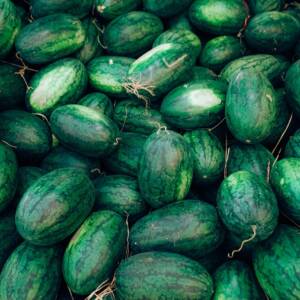 watermelons, harvest, ripe watermelons, fruits, harvested fruits, harvested watermelons
