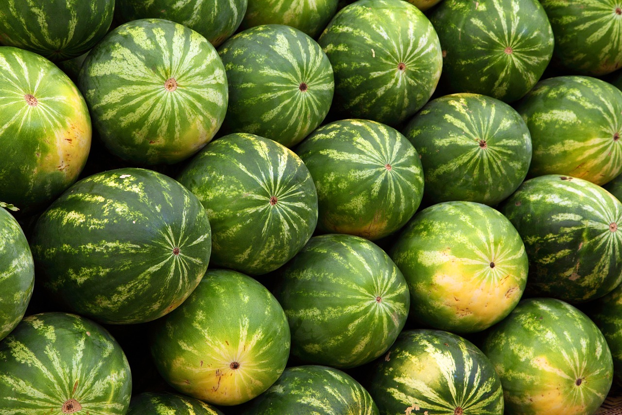 watermelons, full hd wallpaper, fruits, produce, cool backgrounds, 4k wallpaper 1920x1080, wallpaper hd, 4k wallpaper, free background, windows wallpaper, mac wallpaper, desktop backgrounds, organic, laptop wallpaper, free wallpaper, beautiful wallpaper, harvest, fresh, fresh watermelons, fresh fruits, fruit stand, market, farmer's market, background, hd wallpaper, food, melons, wallpaper 4k, ripe watermelons