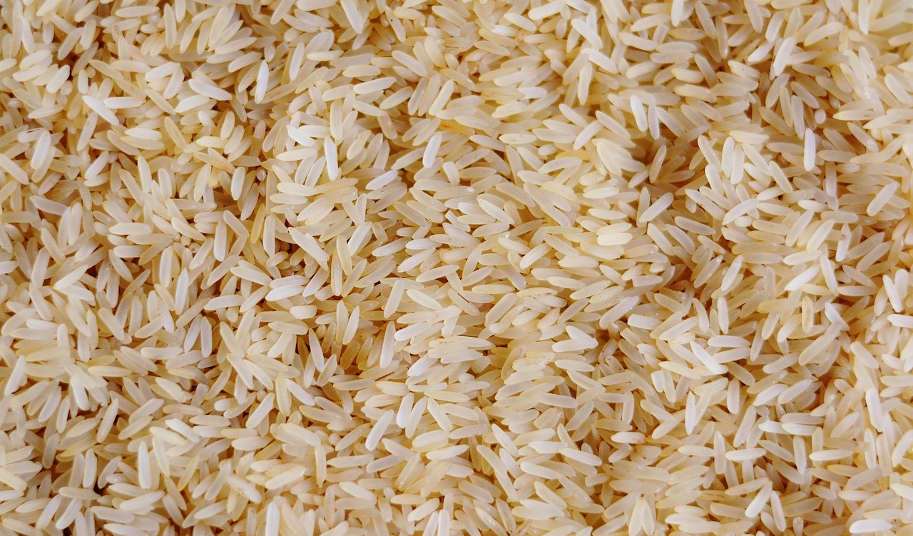 rice, rice grains, food, meal, nourishment, grain of rice, grain, grains, staple food, rice, rice, rice, rice, rice, rice grains, rice grains