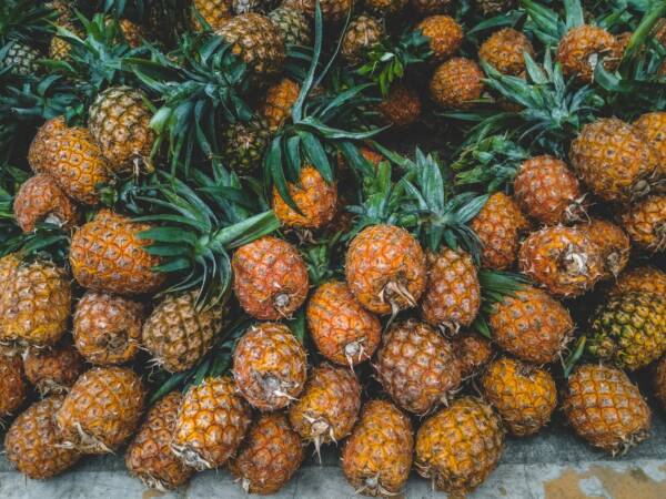 A vibrant display of ripe pineapples at a tropical outdoor market, showcasing freshness.