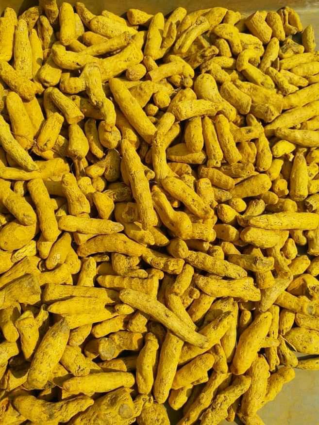 Dry Turmeric - Image 3