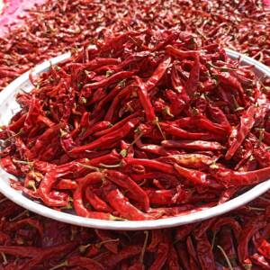 nature, dry chili, hot, spice, flavor, harvest, organic