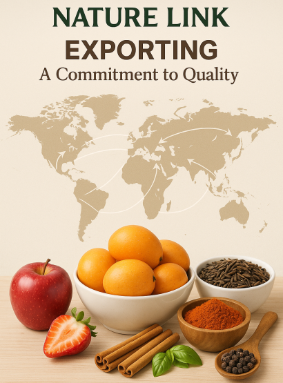 20250807_1646_Global Export Network_simple_compose_01k223v19xfr1v4fk0j7c9pca4